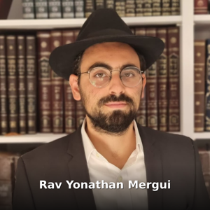 Rav Yonathan Mergui