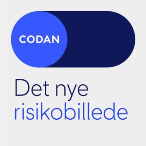 Det nye risikobillede