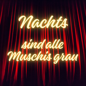 Nachts sind alle Muschis grau