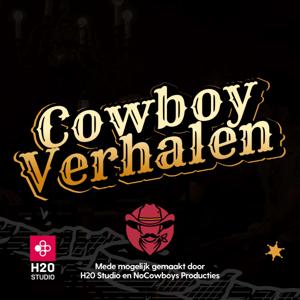 Cowboy Verhalen