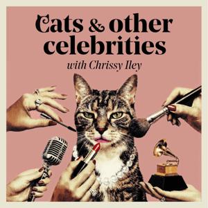 Cats and Other Celebrities