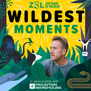 ZSL's Wildest Moments