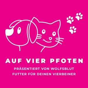 Auf vier Pfoten