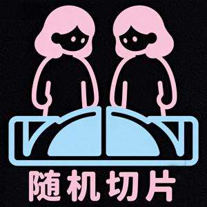 随机切片