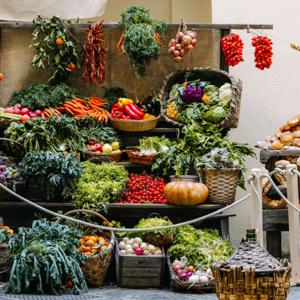 Sustainable Eating Journey