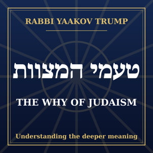 The Why of Judaism