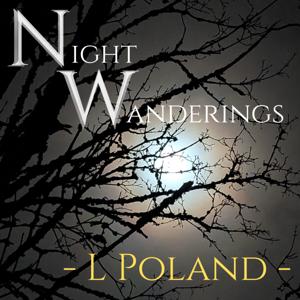 Night Wanderings