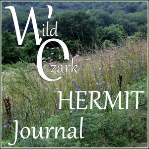Wild Ozark Hermit Journal