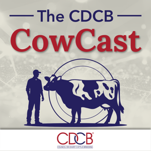 The CDCB CowCast