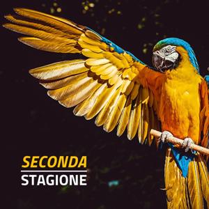 Prof fantastici e dove trovarli / s02