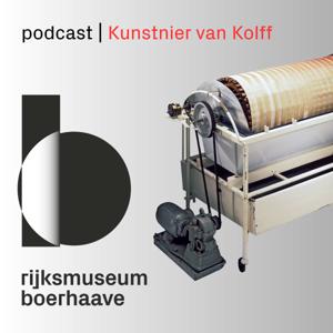Kunstnier van Kolff