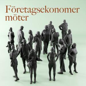 Företagsekonomer möter