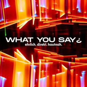 What You Say ¿