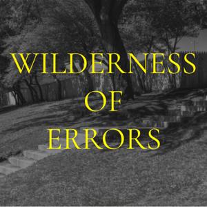 Wilderness of Errors