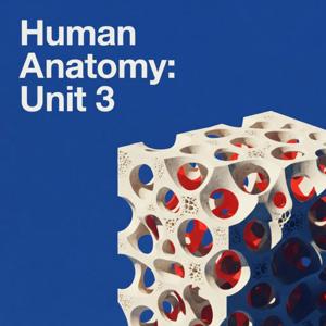 Human Anatomy: Unit 3