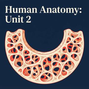 Human Anatomy: Unit 2