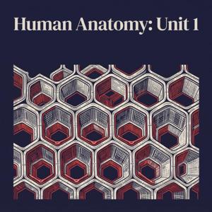 Human Anatomy: Unit 1