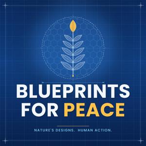 Blueprints for Peace