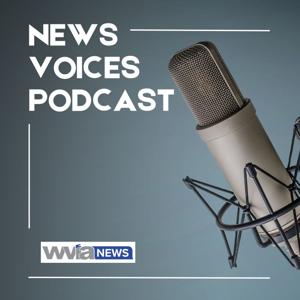 NEWS VOICES