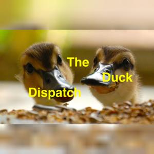 The Duck Dispatch