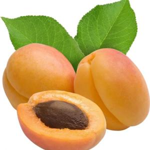 Els Albercocs
