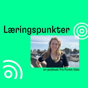 Læringspunkter