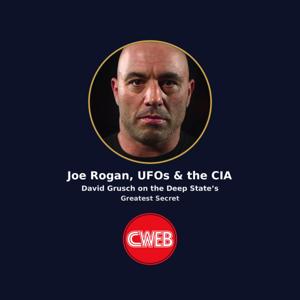 Joe Rogan, UFOs, and the CIA: What Do We Know About the Whistleblower Exposing the Deep State's