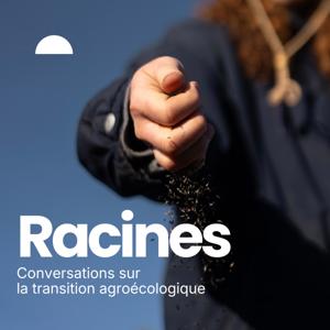 Racines