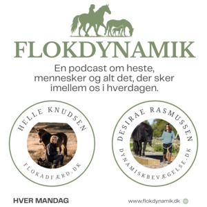 Flokdynamik
