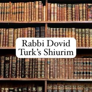 Rabbi Dovid Turk Shiurim