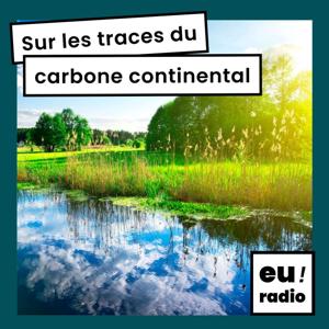 Sur les traces du carbone continental
