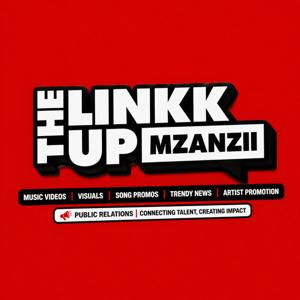Linkup.mzanzii