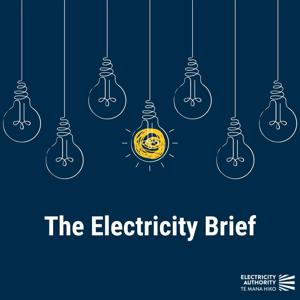 The Electricity Brief
