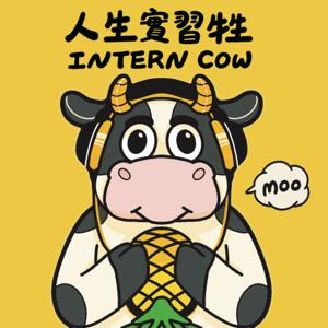 人生實習牲