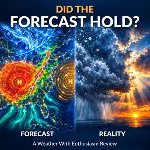 Did the Forecast Hold?