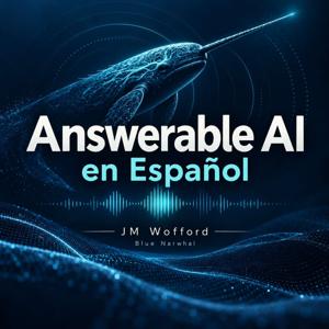 Answerable AI en Español