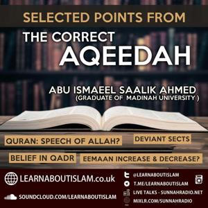 Selected Points from the Correct ʿAqīdah – Ustādh Abu Ismaeel Saalik