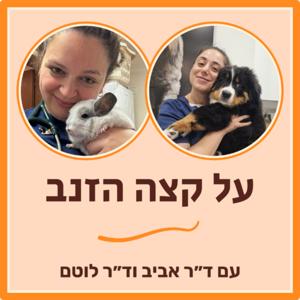 על קצה הזנב