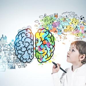 El desarrollo cognitivo