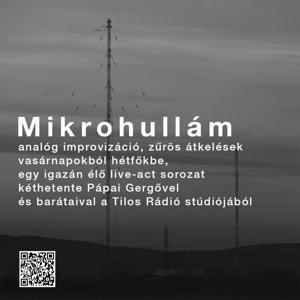 Mikrohullám [Tilos Rádió podcast]