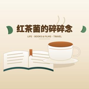 红茶菌的碎碎念