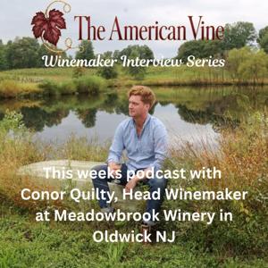 The American Vine -Wine, Wineries, and the people behind them