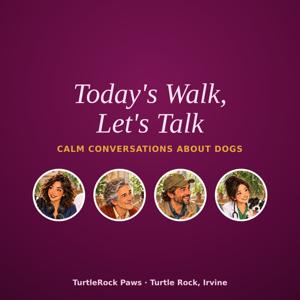 Today's Walk, Let's Talk