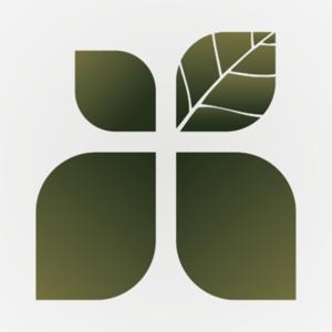 Branch Sermons