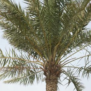 Self Development Challenge for All.