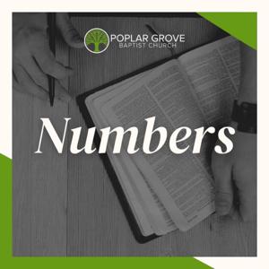 Poplar Grove: Sunday Morning Sermons