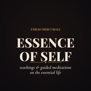 Essence of Self