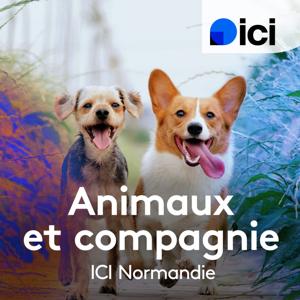Animaux et compagnie