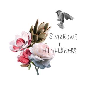 Sparrows and Wildflowers