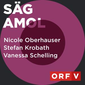 Säg amol